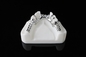 Scanner oral de fonte de machine de laser DMLS 3D d'imprimante de la CE de dentiers standard de Metal Riton Dual-200