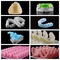 5 impression multi de For Dental Clinics d'imprimante de résine de l'écran tactile 3D de vue de pouce HD