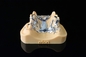 Imprimante titanique d'agglomération en métal de laser de Light Curing Dental de l'imprimante 3D de dents en céramique